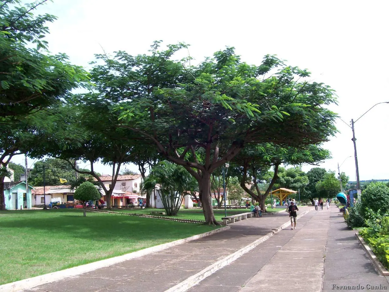Acailandia