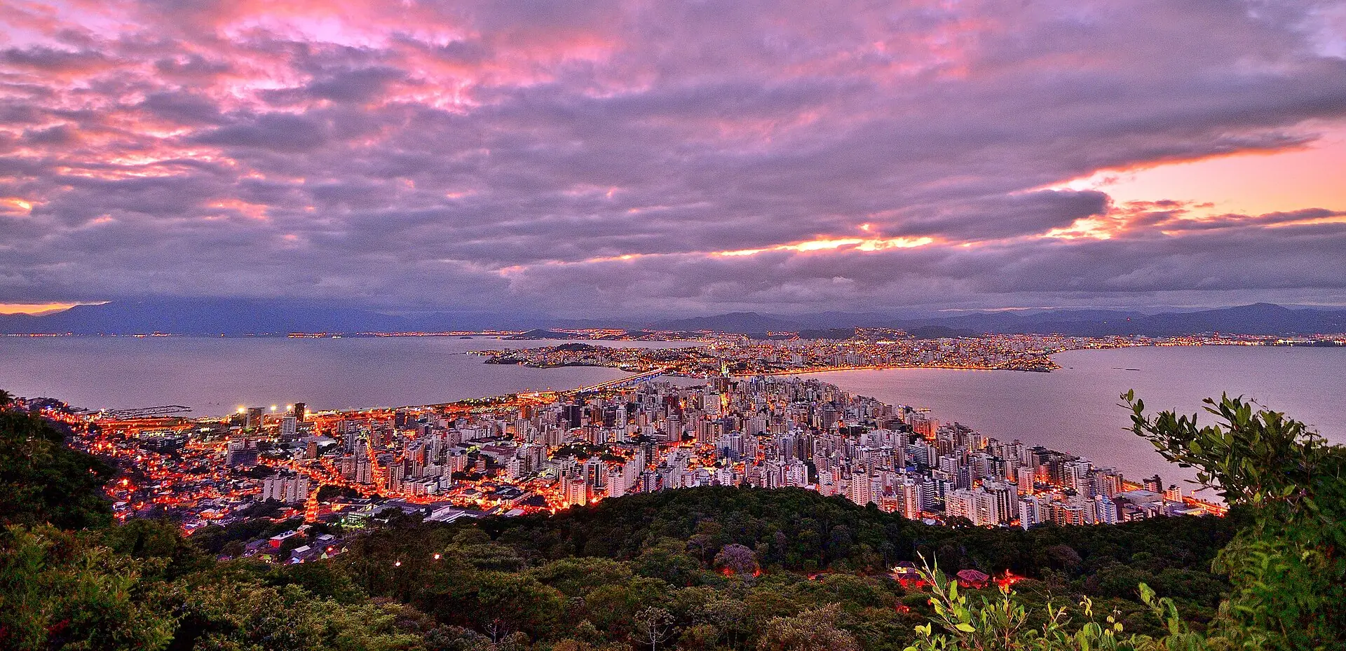 Marketing Digital em Santa Catarina